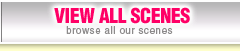 View All Scenes